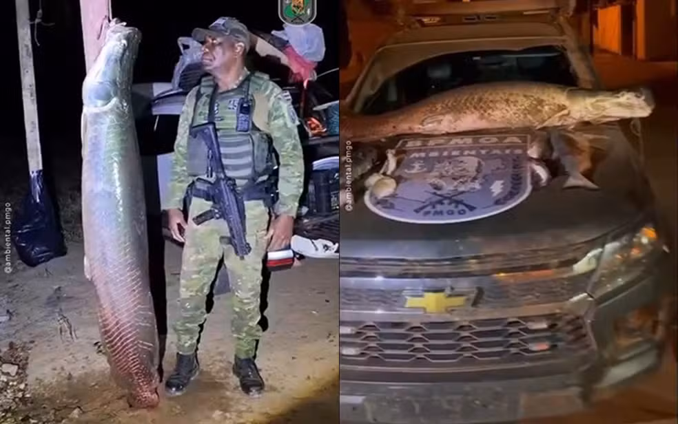 Crime Ambiental: Pirarucu de 100 kg é apreendido em Bonópolis por pesca ilegal